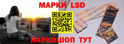 шишки Бузулук