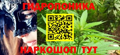 шишки Бузулук
