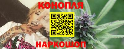 Альфа ПВП Будённовск